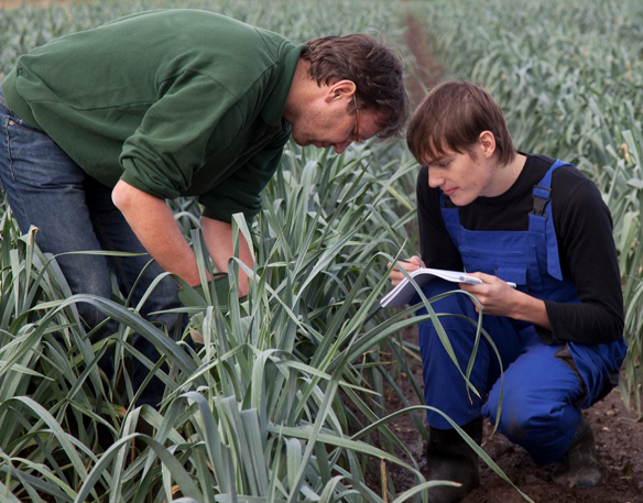 Academics - Agricultural Internships - MUSE Virtual School