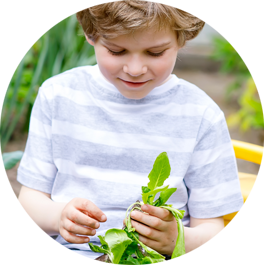 MUSE Virtual Principles - Sustainability is Key - MUSE Virtual School