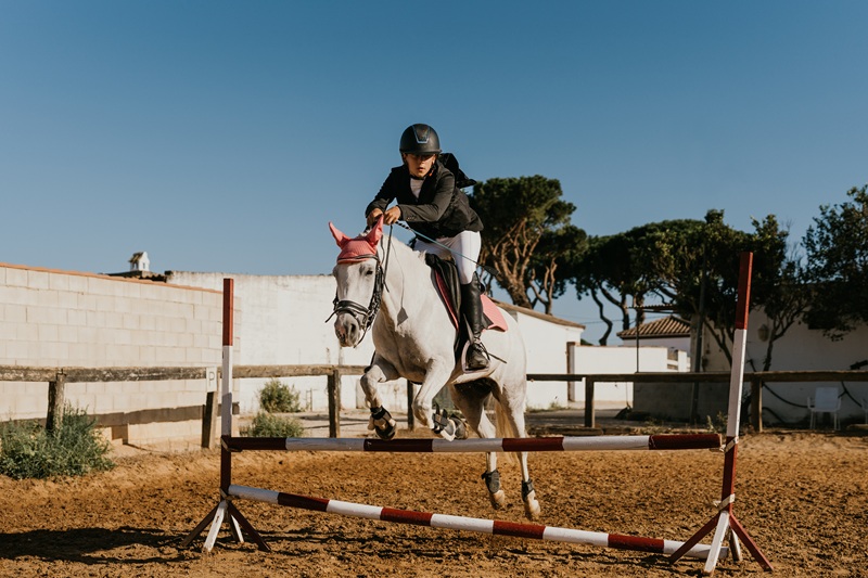 15 year old teenage girl jumping over obstacles on a white horse. Training